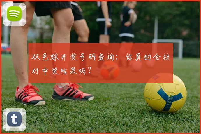 双色球开奖号码查询：你真的会核对中奖结果吗？