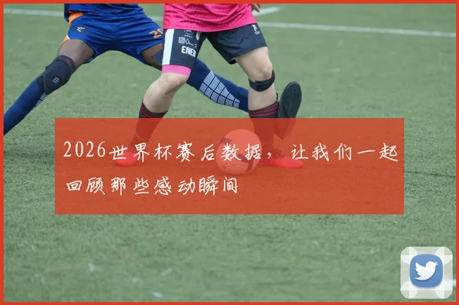 2026世界杯赛后数据,让我们一起回顾那些感动瞬间